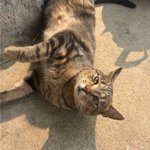 Meet your Posher, Mallory